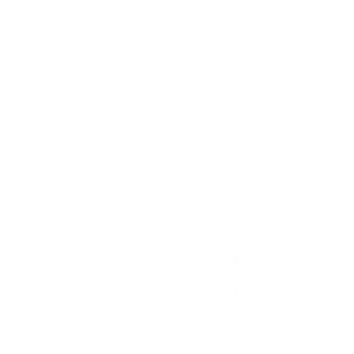 ARECUR MEXICO